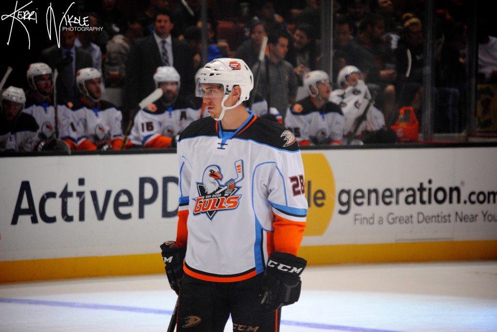 Center Antoine Laganiere, a 25-year old from Montreal, QC, has scored 17 points in 34 games. Photo courtesy of Flickr Creative Commons/Kerri Polizzi