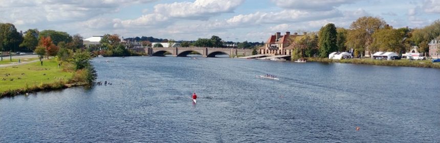 Large body of water with rowing teams in boats