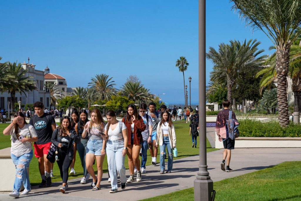 students walking outside of a college campus with blue skies and a tree above them