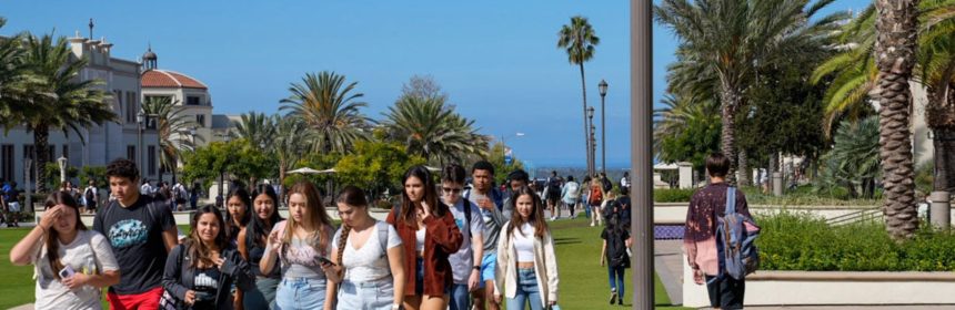 students walking outside of a college campus with blue skies and a tree above them